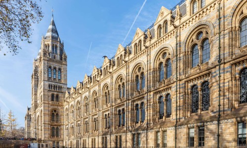 Natural History museum in winter, London, England.